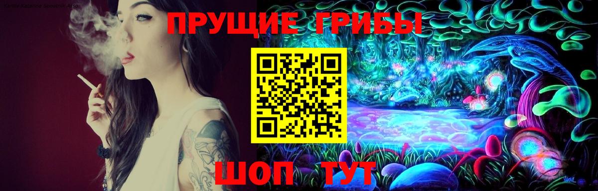 магазин    Галлюциногенные грибы ЛСД  Псилоцибиновые грибы Cubensis  Вход с VPN  Новоалександровск 