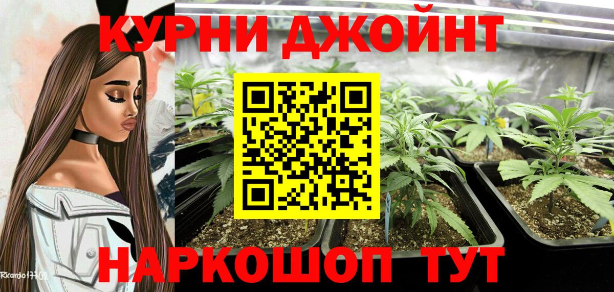Новоалександровск  Конопля VHQ  Вход с VPN  Шишки марихуана семена 